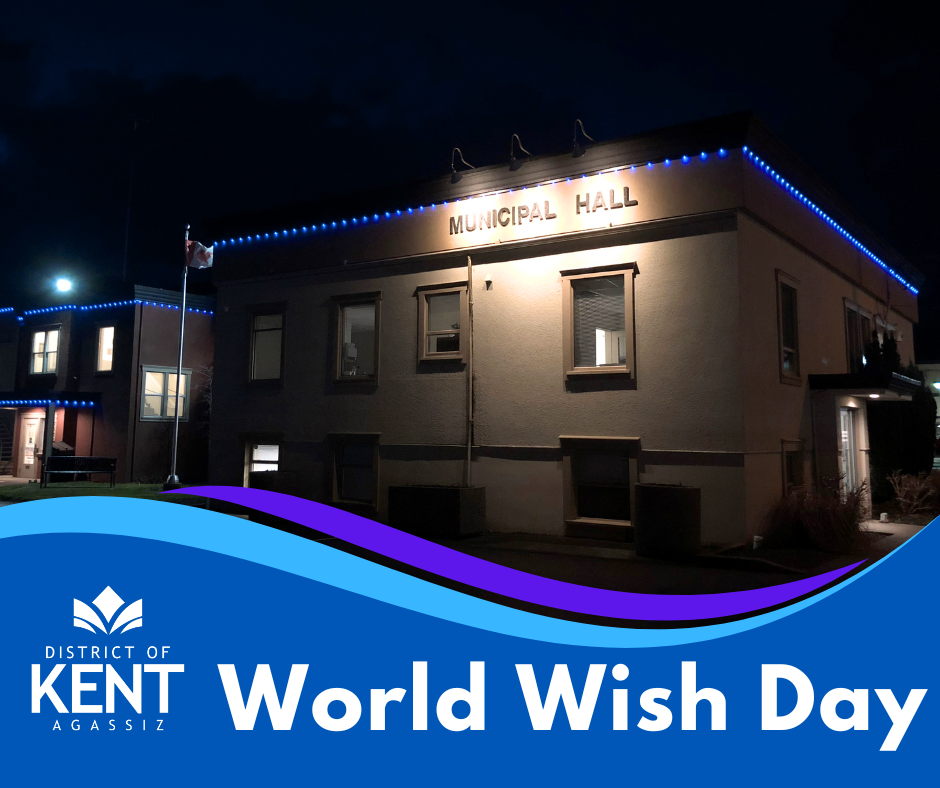 District of Kent - Illuminated in Blue Lights for World Wish Day