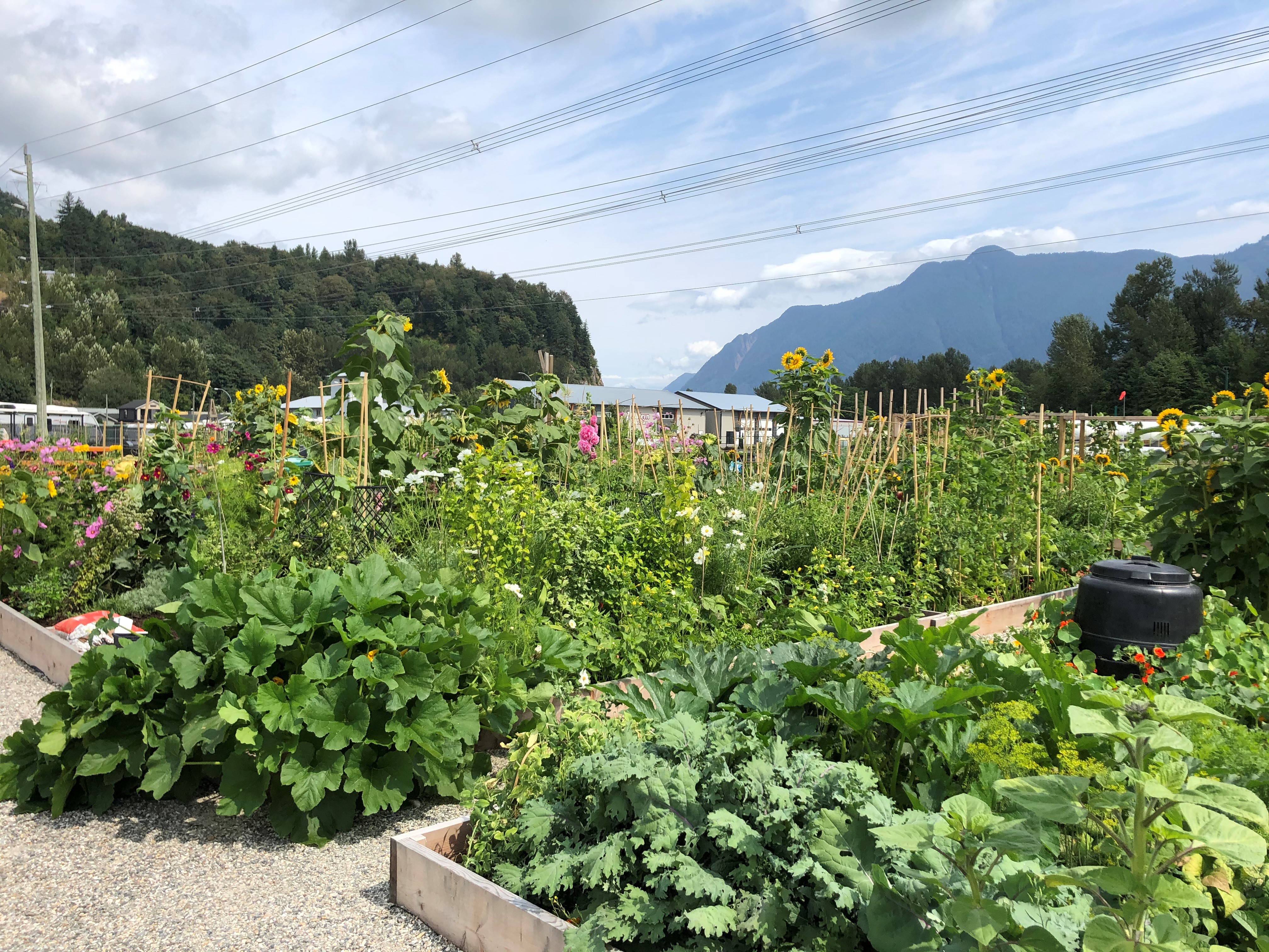 Agassiz Community Gardens