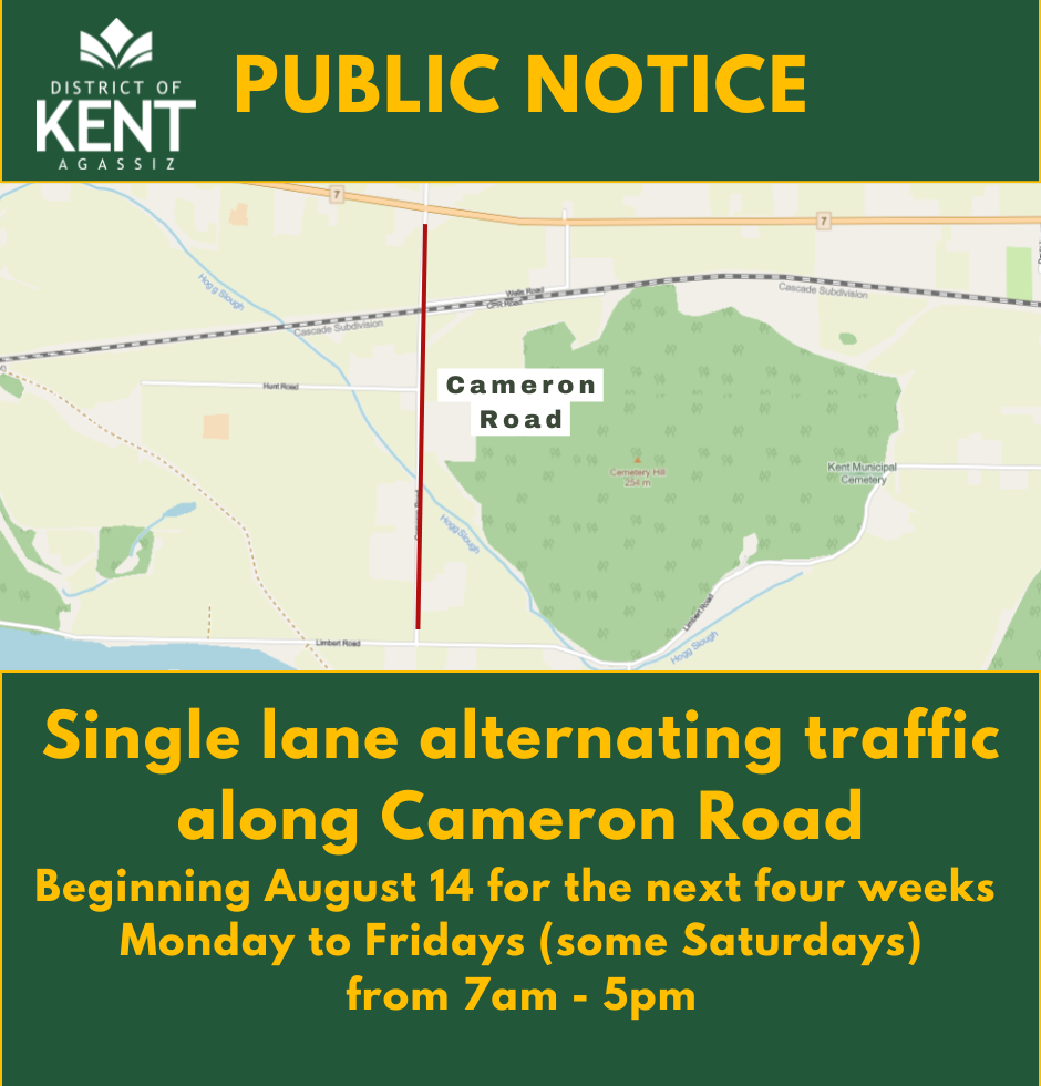 Cameron Road Construction Map
